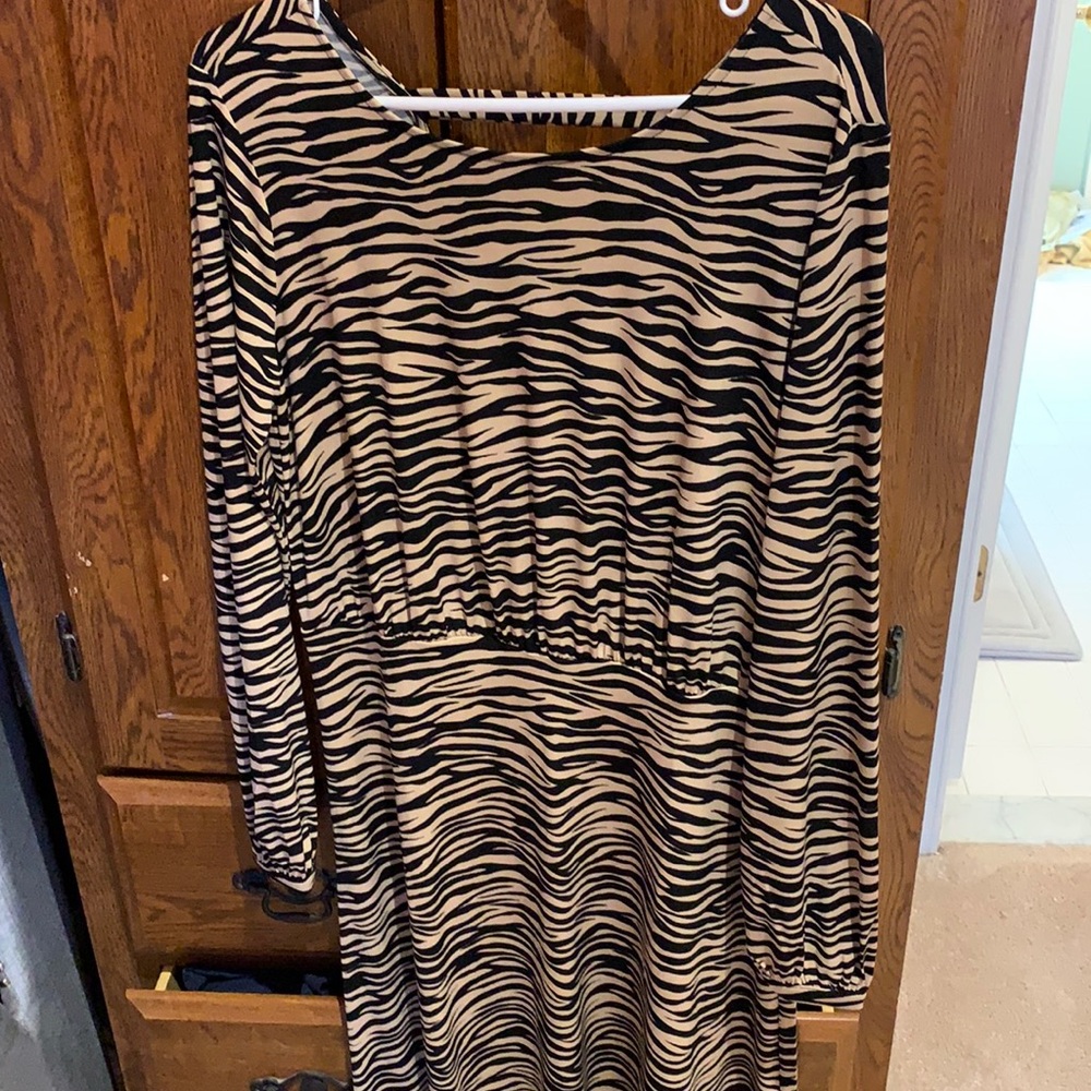 LOFT zebra print dress size 6